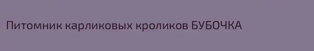 Питомник карликовых кроликов БУБОЧКА